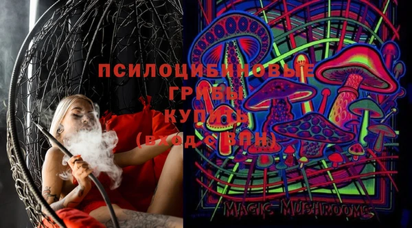 не бодяженный Лабытнанги